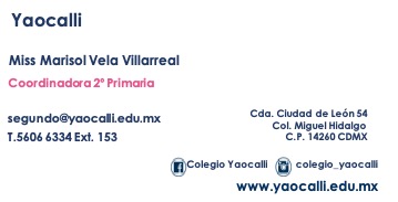 Marisol Villarreal